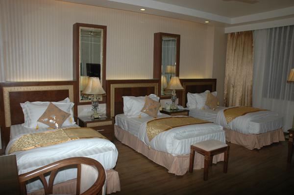 Hotel Picasso Paschim Vihar Delhi - Couple Friendly Local Ids Accepted المظهر الخارجي الصورة